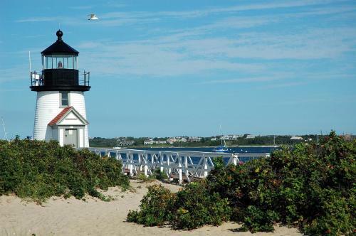 Old Orchard