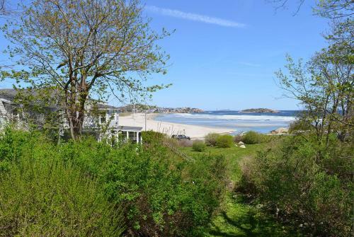 Golden Sands