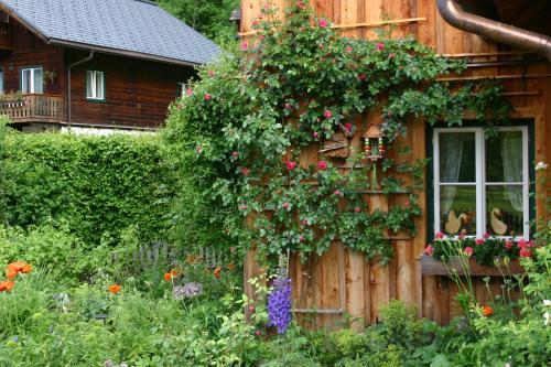 Haus Andr�