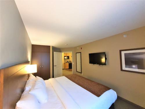 Hotel Amerivu Inn And Suites - Chisago City