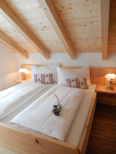 Alpenchalet Mitterberg