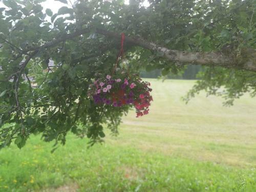 Apartamento Brandst�ttergut