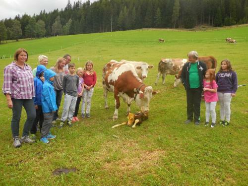 Agroturismo Hansalagut