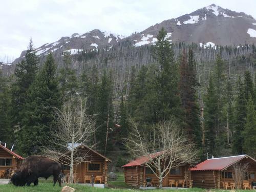 Motel Silver Gate Lodging