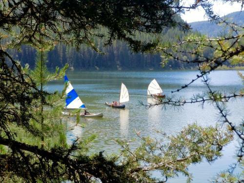 Rustic Lakefront Cabin About 12 Mi To Glacier Ntl Park!