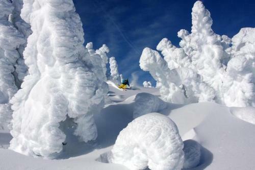 Walker's Place Home