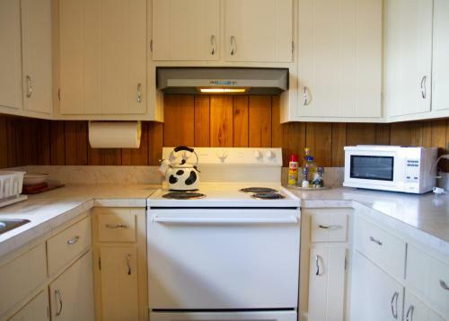 Lake Winnisquam - Waterfront - 385