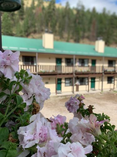 Hotel Ponderosa Lodge