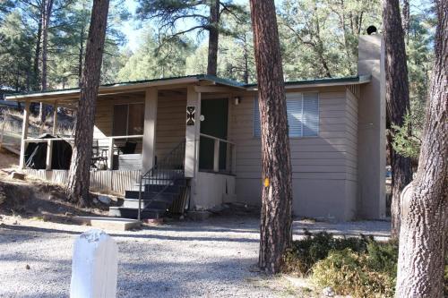 Pine Tree Cabin
