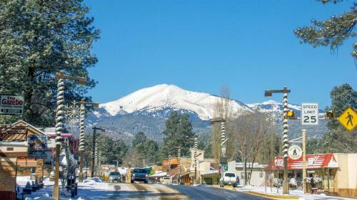 Lofty Pine