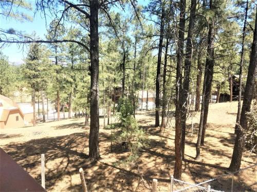 Apartamento Ol` Big Bear`s