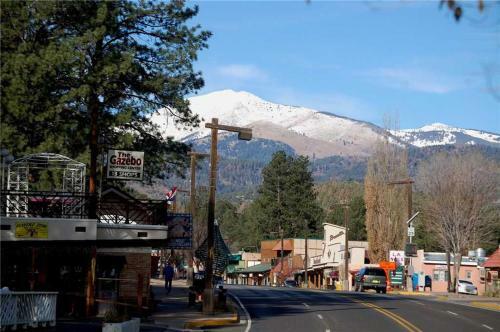 Cozy Bear 8, 1 Br, Fireplace, Midtown, Grill, Sleeps 4