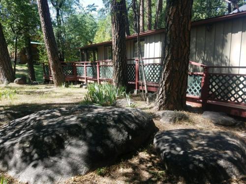 River Bear Cabin
