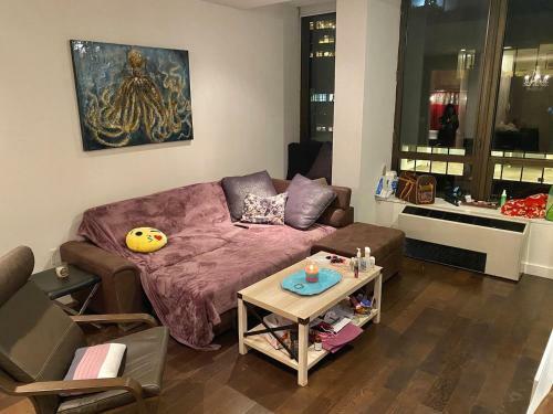 Luxury Large Apartment In Manhattan