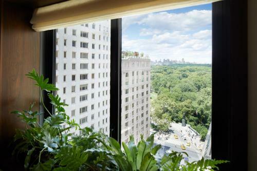 1 Hotel Central Park By Suiteness