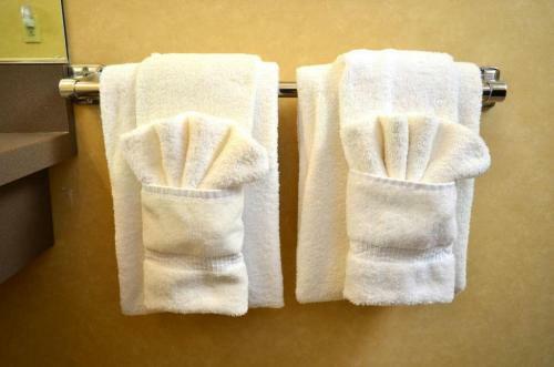 Hotel Skaneateles Suites