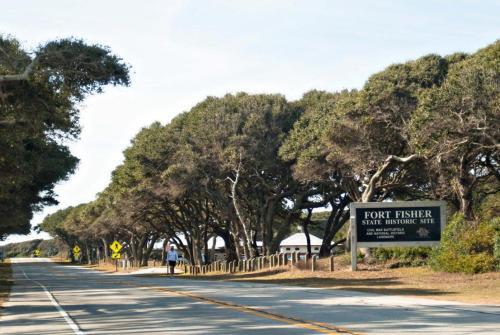 Carolina Surf 403