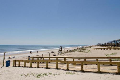 Carolina Surf 403