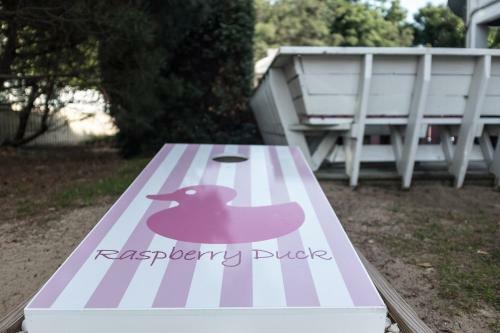 Raspberry Duck