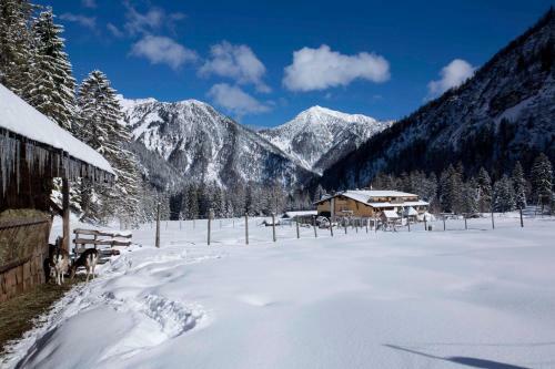 Hostal Alpengasthof Gern Alm