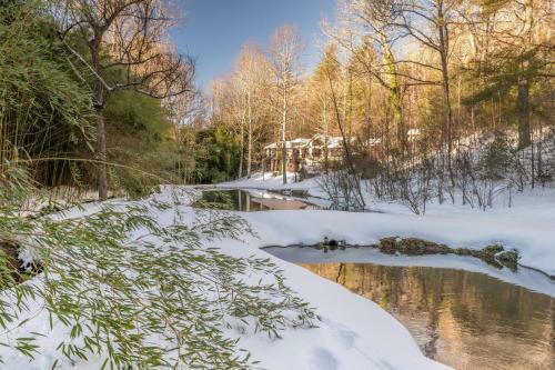 Fox Den - Lush Forest Retreat - Patio & Trails Home