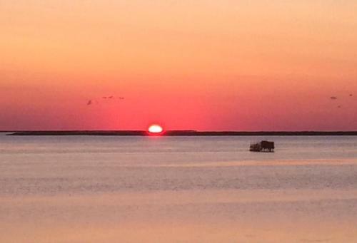 Sunset Joy