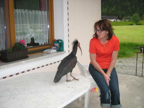 Hostal Haus Seppi