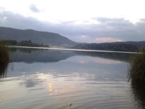 Apartamento Ferienwohung Dissinger Rosi