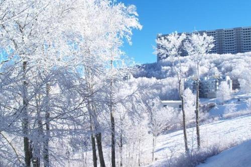 Sugar Ski & Country Club Unit 211