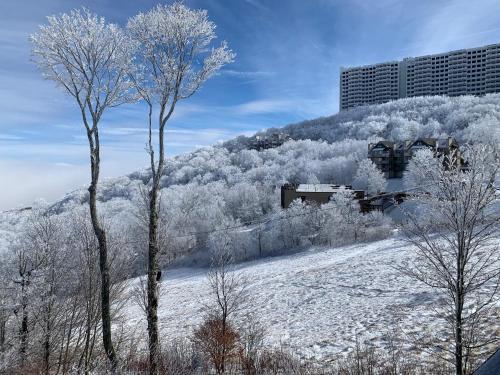 Sugar Ski & Country Club Unit 225
