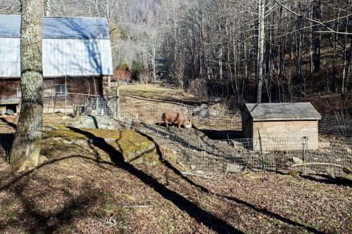 Emerald Gate Farm Cabin Nestled On 13 Acres!