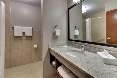 Hotel Drury Inn & Suites Cleveland Beachwood