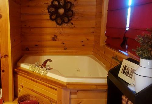 Bed & Breakfast Amish Blessings Cabins