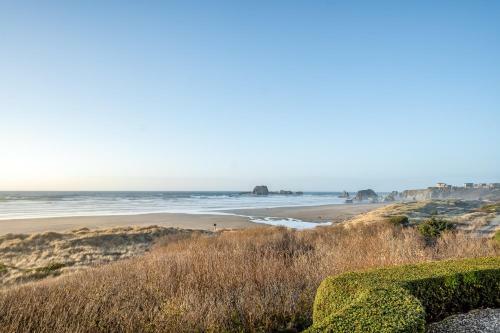 Vista Wavecrest