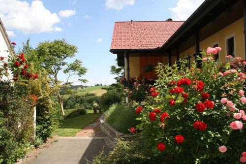 Hostal G�stehaus Dobida