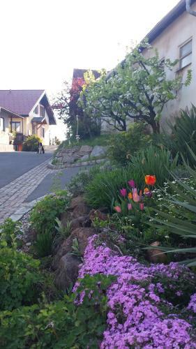 Hostal G�stehaus Dobida