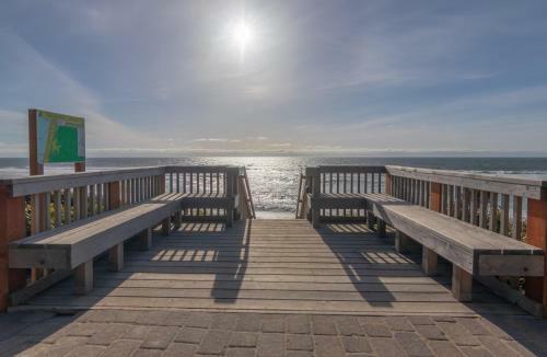 Festivus By The Sea