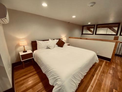 Luxury 2bedrooms 2kingbeds Historic Building