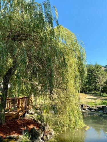 Bed & Breakfast Mount Tom House