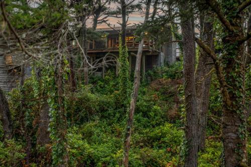 Cliff View Cabin (mca 420)