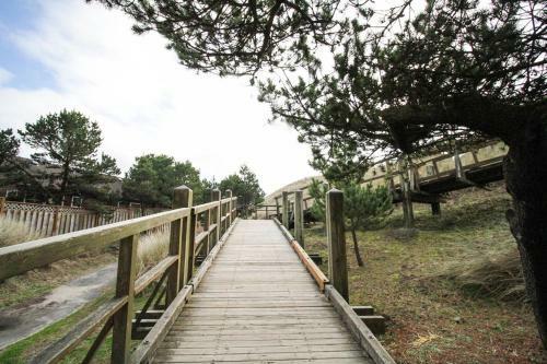 Beachcomber's Retreat