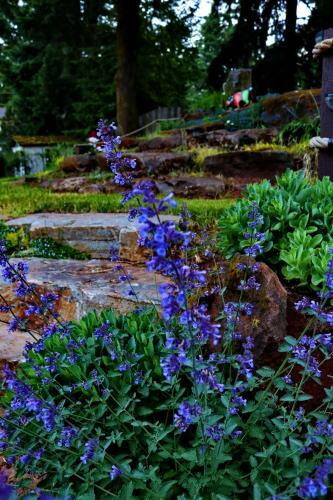 Bed & Breakfast Happy Rock Inn