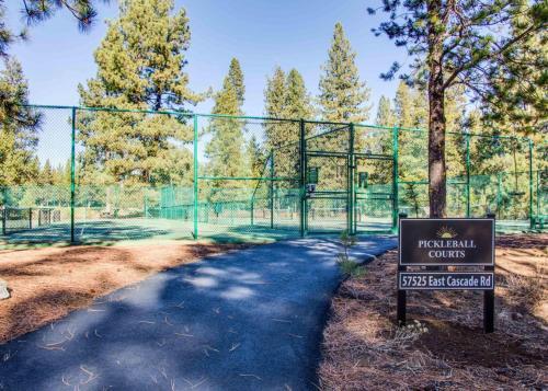 Yellow Pine 17