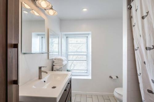 Guest Apartment In Row Home With Backyard Patio