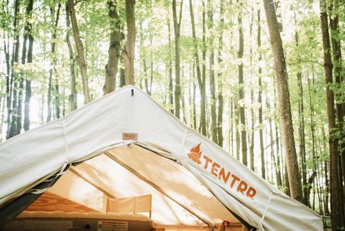 Tentrr – Hollow Tree Camp