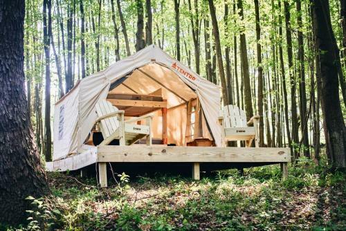 Tentrr – Hollow Tree Camp