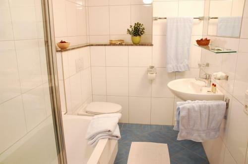 Hostal Hotel-pension Faneskla
