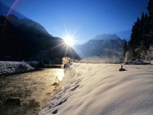Apartamento Appartements Alpenrose
