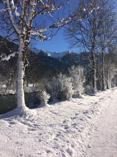 Apartamento Haus Bergland