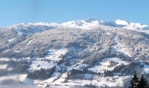 Apartamento Haus Margret